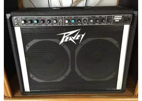 Spring Cleaning! Peavey Vintage Guitar Amp [**Open Today!**]